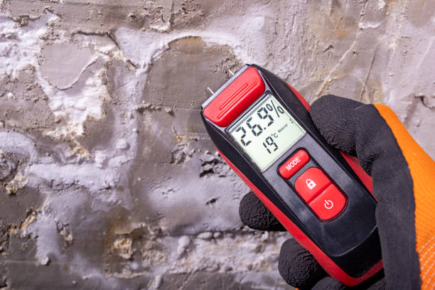 Best Bathroom Mold Remediation in Zapata, TX
