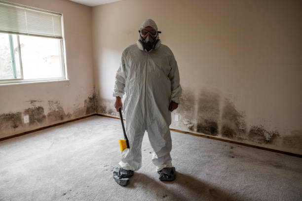 Best HVAC Mold Remediation in Zapata, TX